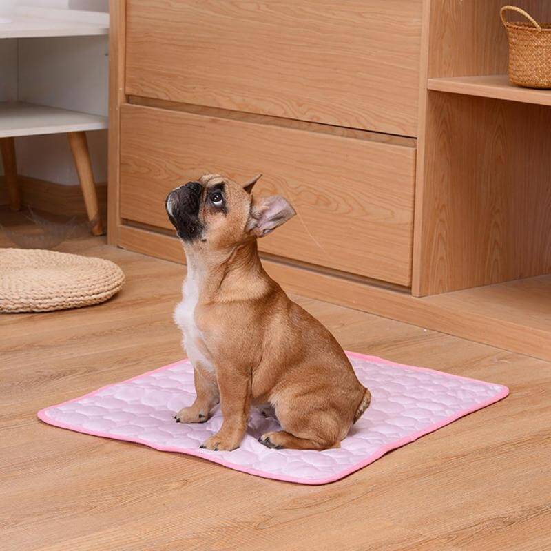 Coolmat™ | Wärmeabsorbierende Haustiermatte für Kühlung und Komfort