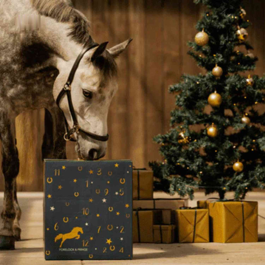 Pferde™ Adventskalender | Pferdeleckerlis, 24 Tage Spaß