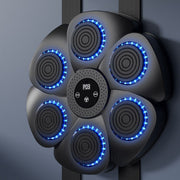 BoxPro™ Smart Musik Boxmaschine | Spielerisches Fettverbrennen für die ganze Familie