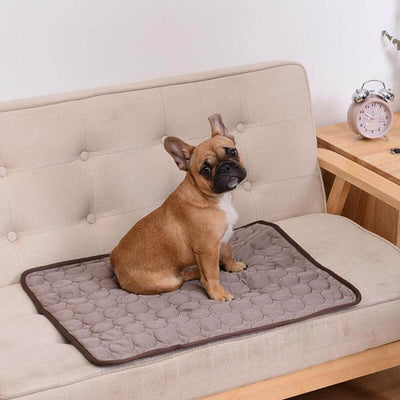Coolmat™ | Wärmeabsorbierende Haustiermatte für Kühlung und Komfort
