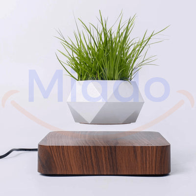 FloatPot™ | Magischer Schwebender Pflanztopf für moderne Wohnraumdekoration