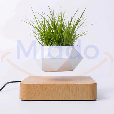 FloatPot™ | Magischer Schwebender Pflanztopf für moderne Wohnraumdekoration