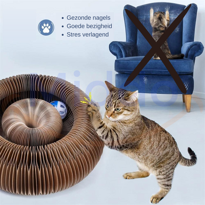 Der Katzenscratcher™ | Kratzen und Spielen für jede Katze