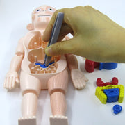 Gruselig Spaß: Kinder Anatomie Set | Lehrreiches und Interaktives Spielzeug
