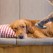 VisiClean™ Bürste | Entfernt Tierhaare effizient & mit sicherem Verschluss