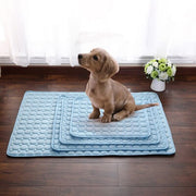 Coolmat™ | Wärmeabsorbierende Haustiermatte für Kühlung und Komfort