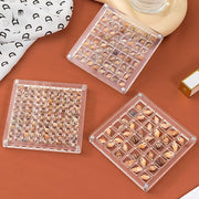 DisplayCase™ | Die Ultimative Ausstellungslösung für Muscheln und mehr