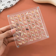 DisplayCase™ | Die Ultimative Ausstellungslösung für Muscheln und mehr