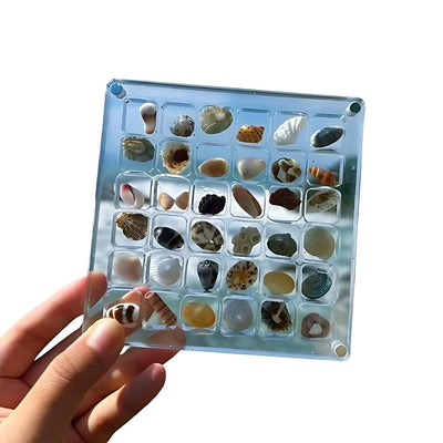 DisplayCase™ | Die Ultimative Ausstellungslösung für Muscheln und mehr