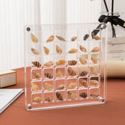 DisplayCase™ | Die Ultimative Ausstellungslösung für Muscheln und mehr