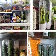 FreshHerbKeeper™ | Kühlaufbewahrung von Kräutern für Koriander, Petersilie und mehr