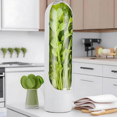 FreshHerbKeeper™ | Kühlaufbewahrung von Kräutern für Koriander, Petersilie und mehr
