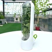 FreshHerbKeeper™ | Kühlaufbewahrung von Kräutern für Koriander, Petersilie und mehr