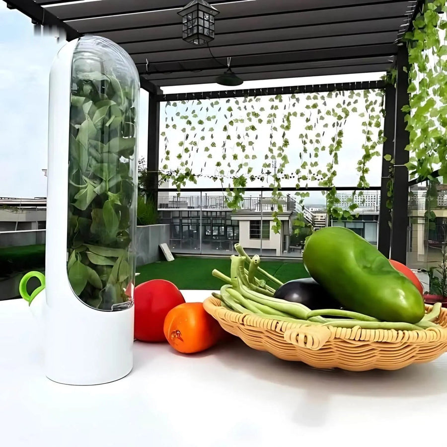 FreshHerbKeeper™ | Kühlaufbewahrung von Kräutern für Koriander, Petersilie und mehr