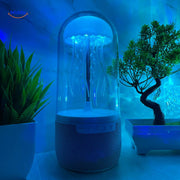 JellyGlow™ Lautsprecher | Mini Bluetooth, bunte Lichter und tragbarer Spaß