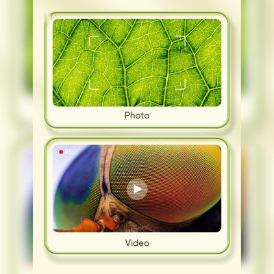 MicroScope™ Kinder | Tragbares Vergrößerungsglas & Wissenschaftsspielzeug