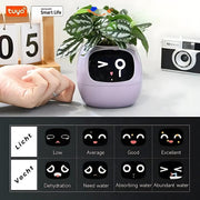 Happy Ivy™ - SMART Blumentopf für automatische Pflanzenpflege
