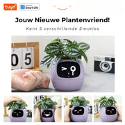 Happy Ivy™ - SMART Blumentopf für automatische Pflanzenpflege