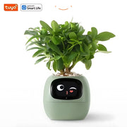 Happy Ivy™ - SMART Blumentopf für automatische Pflanzenpflege