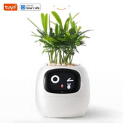Happy Ivy™ - SMART Blumentopf für automatische Pflanzenpflege