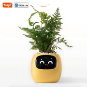 Happy Ivy™ - SMART Blumentopf für automatische Pflanzenpflege